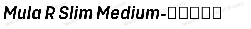 Mula R Slim Medium字体转换
